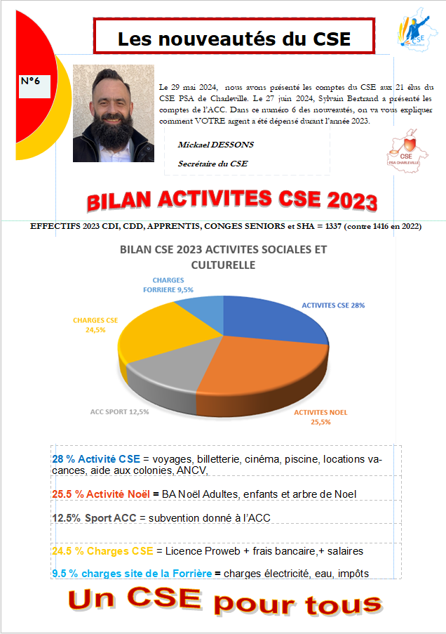 BILAN DU CSE 2023