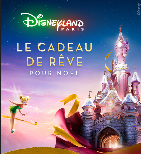 ACCES pour 2 jours  et 1 nuit au parc Disneyland Paris