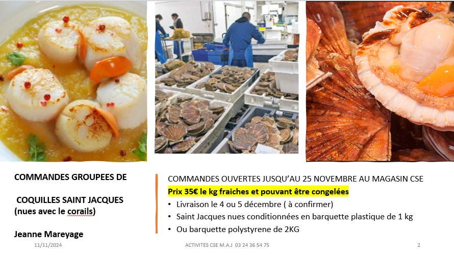 COMMANDES GROUPEES DE COQUILLES SAINT JACQUES DU CALVADOS